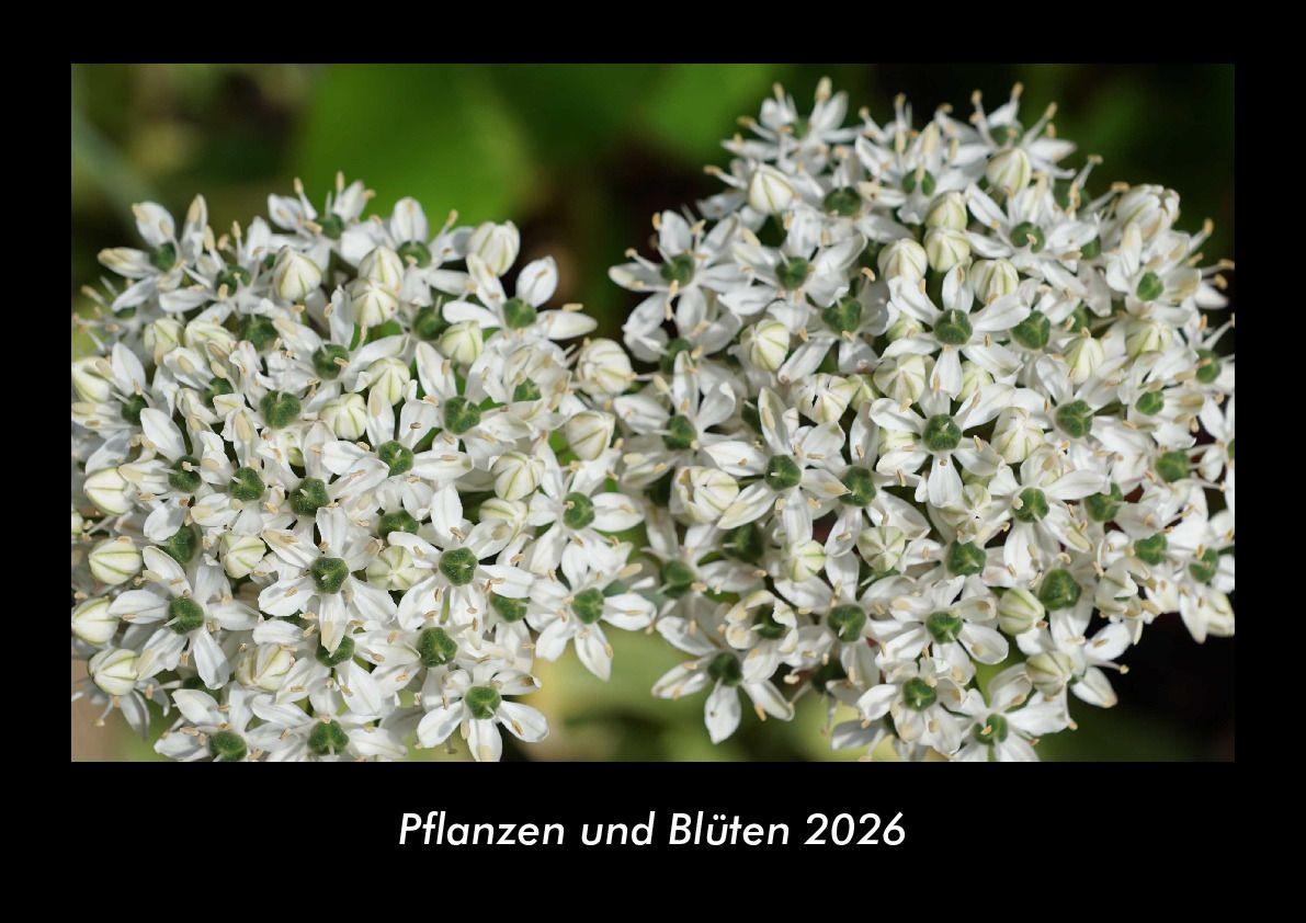 Pflanzen und Blüten 2026 Fotokalender DIN A3