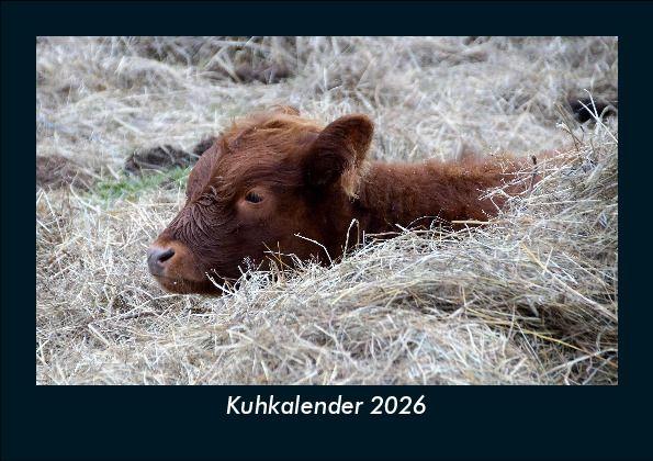 Kuhkalender 2026 Fotokalender DIN A5