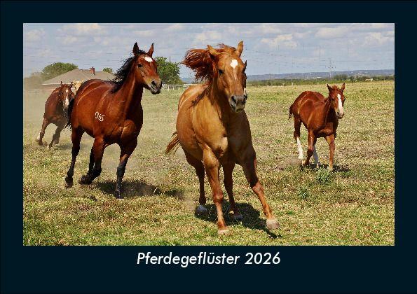 Pferdegeflüster 2026 Fotokalender DIN A5