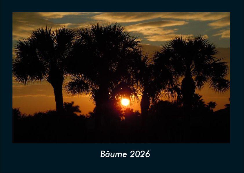Bäume 2026 Fotokalender DIN A4