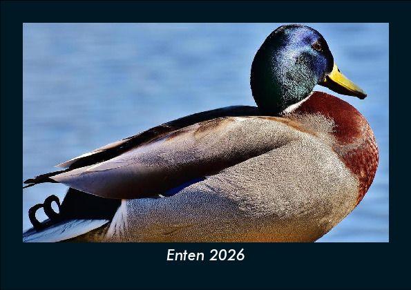 Enten 2026 Fotokalender DIN A5