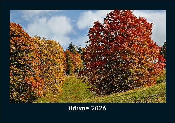 Bäume 2026 Fotokalender DIN A5