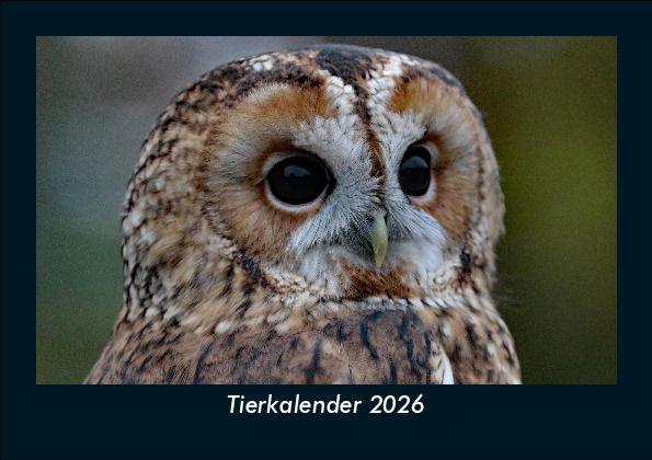 Tierkalender 2026 Fotokalender DIN A5