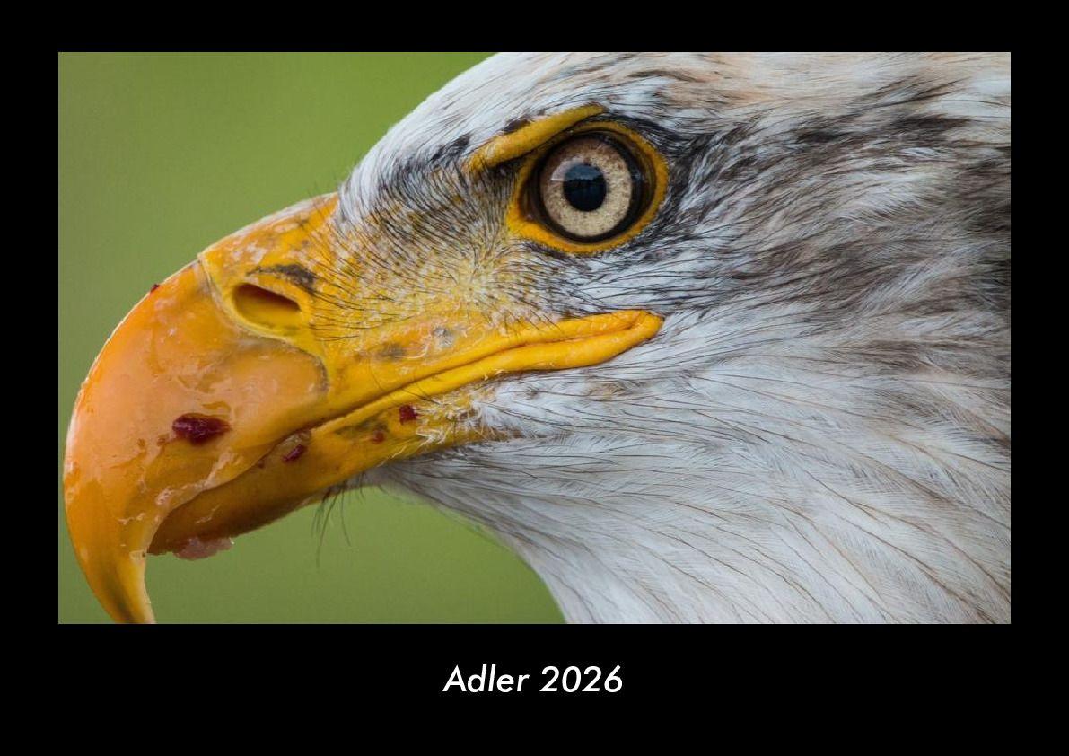 Adler 2026 Fotokalender DIN A3