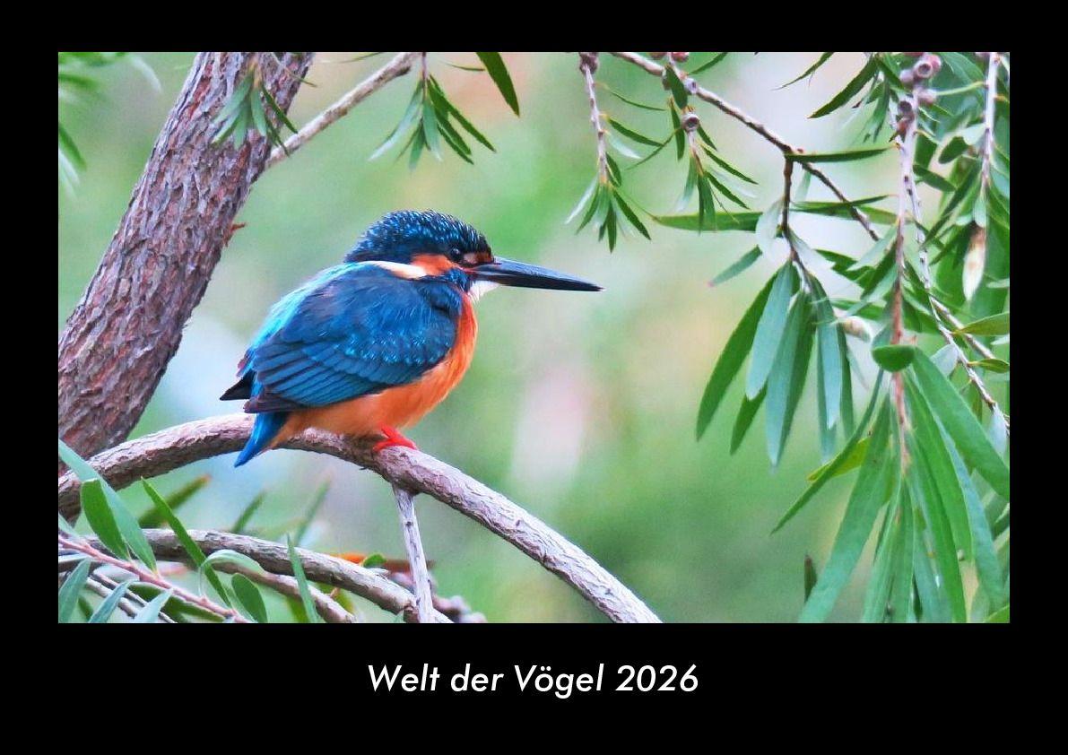 Welt der Vögel 2026 Fotokalender DIN A3
