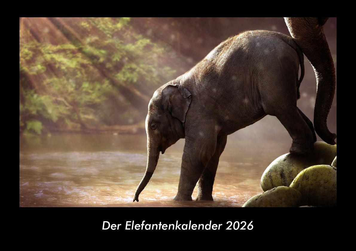 Der Elefantenkalender 2026 Fotokalender DIN A3