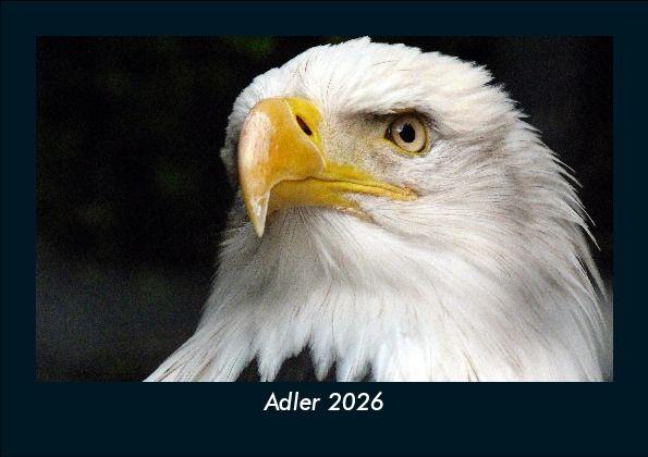 Adler 2026 Fotokalender DIN A5