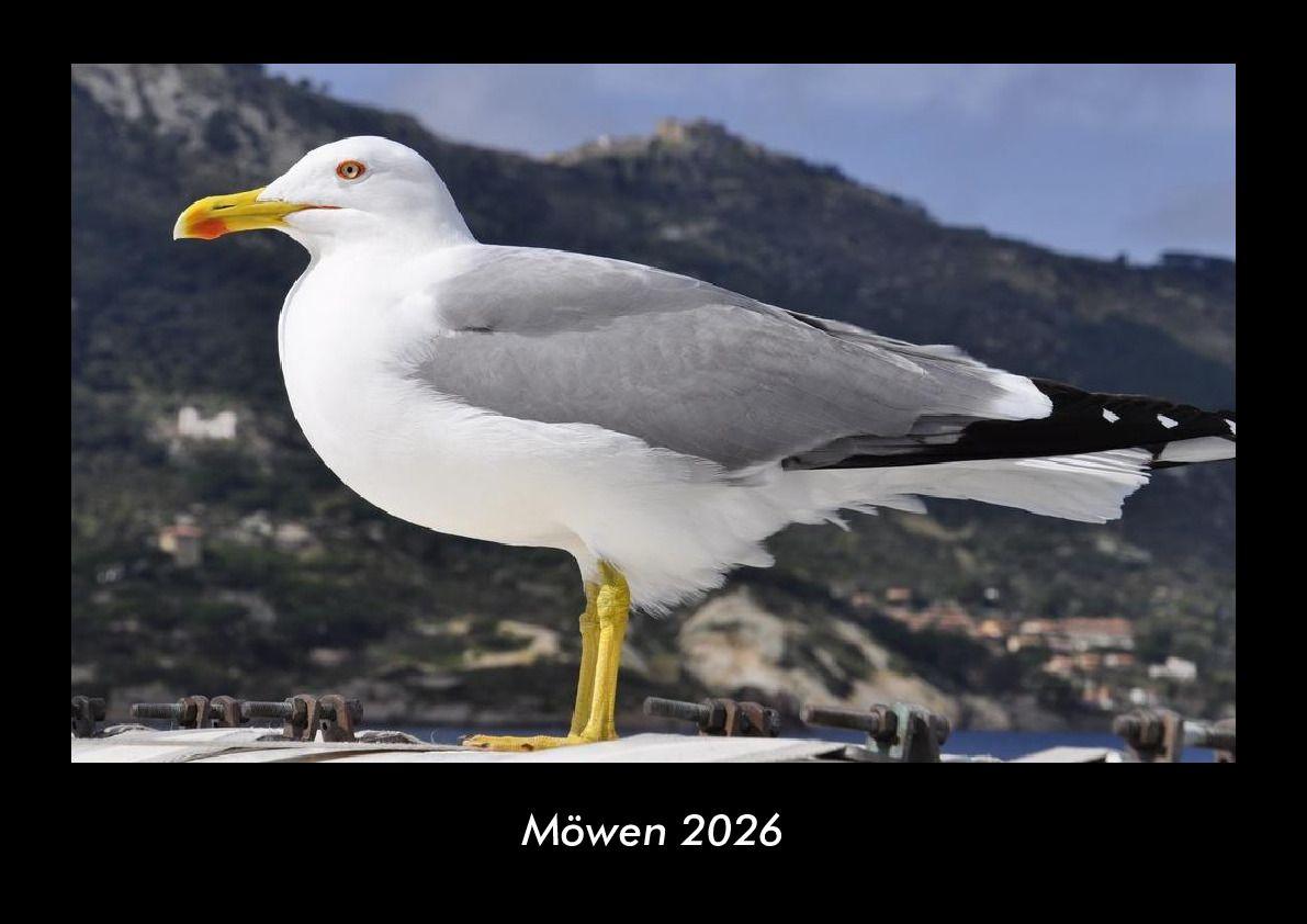 Möwen 2026 Fotokalender DIN A3