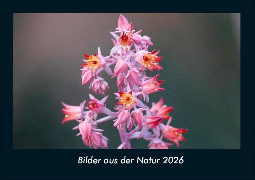 Bilder aus der Natur 2026 Fotokalender DIN A4