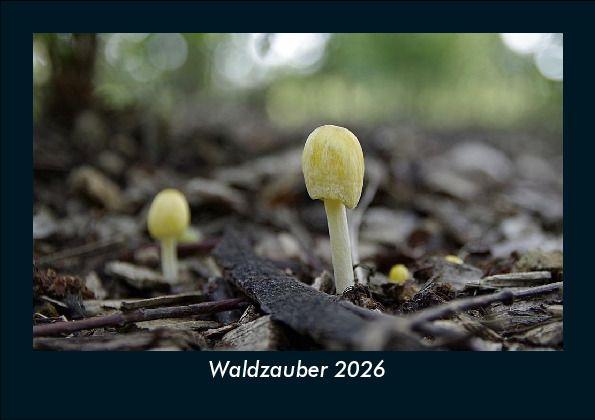 Waldzauber 2026 Fotokalender DIN A5