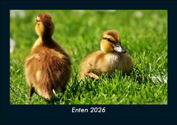 Enten 2026 Fotokalender DIN A5
