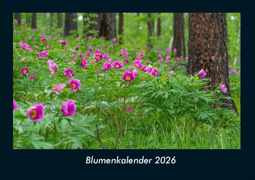 Blumenkalender 2026 Fotokalender DIN A4
