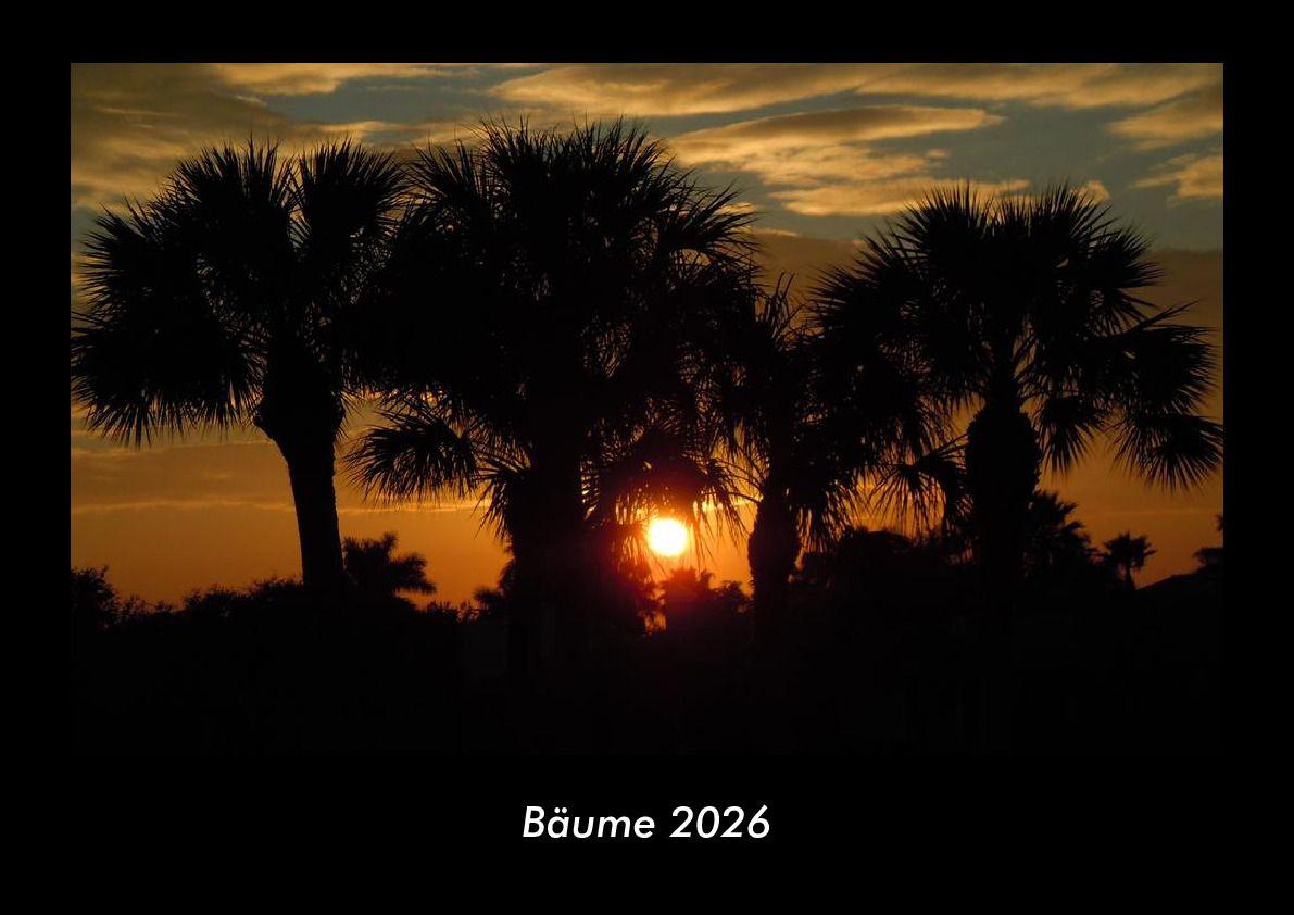 Bäume 2026 Fotokalender DIN A3
