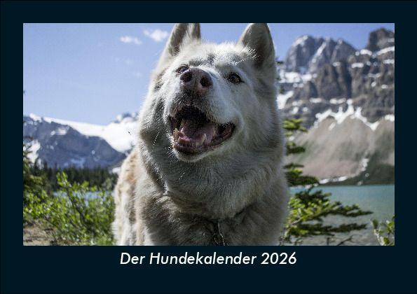 Der Hundekalender 2026 Fotokalender DIN A5