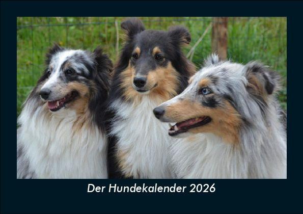 Der Hundekalender 2026 Fotokalender DIN A5