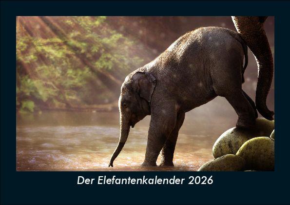 Der Elefantenkalender 2026 Fotokalender DIN A5