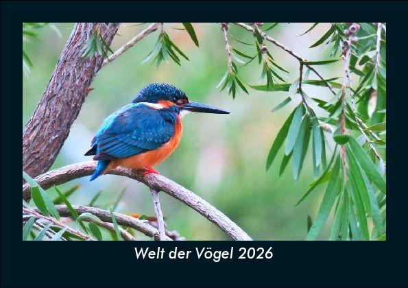 Welt der Vögel 2026 Fotokalender DIN A5