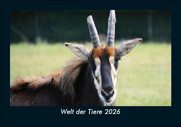 Welt der Tiere 2026 Fotokalender DIN A5