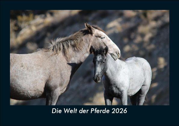 Die Welt der Pferde 2026 Fotokalender DIN A5