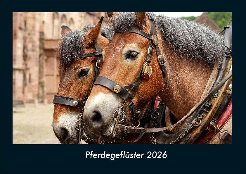 Pferdegeflüster 2026 Fotokalender DIN A4