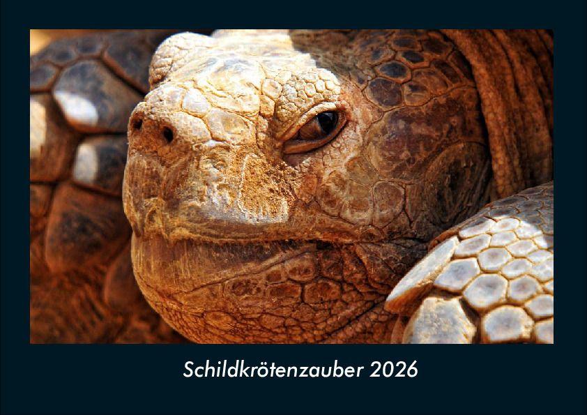 Schildkrötenzauber 2026 Fotokalender DIN A4