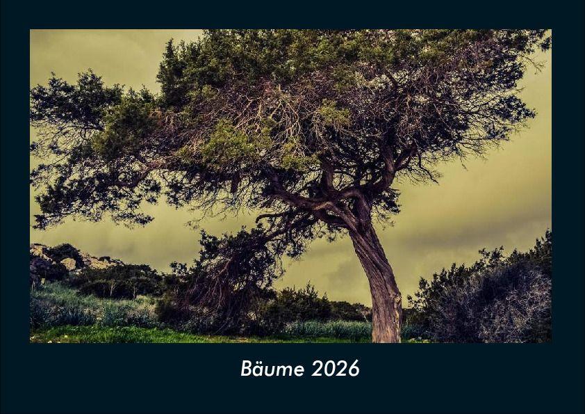 Bäume 2026 Fotokalender DIN A4