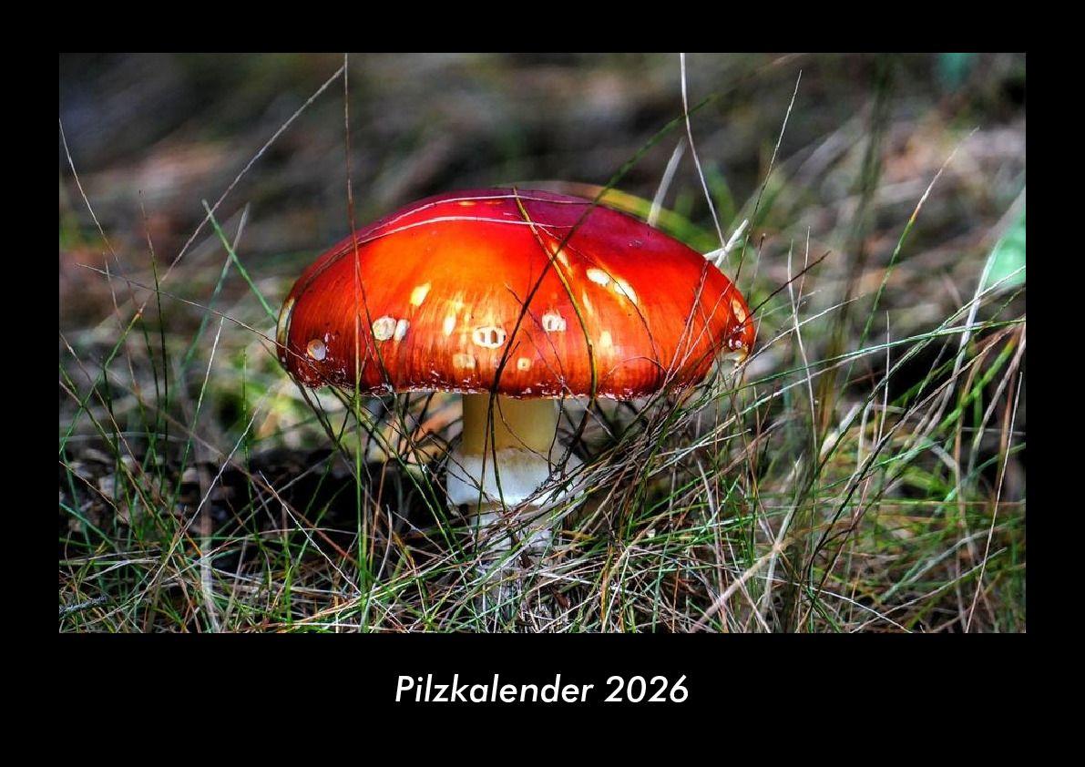 Pilzkalender 2026 Fotokalender DIN A3