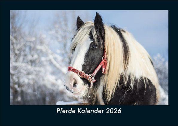 Pferde Kalender 2026 Fotokalender DIN A5
