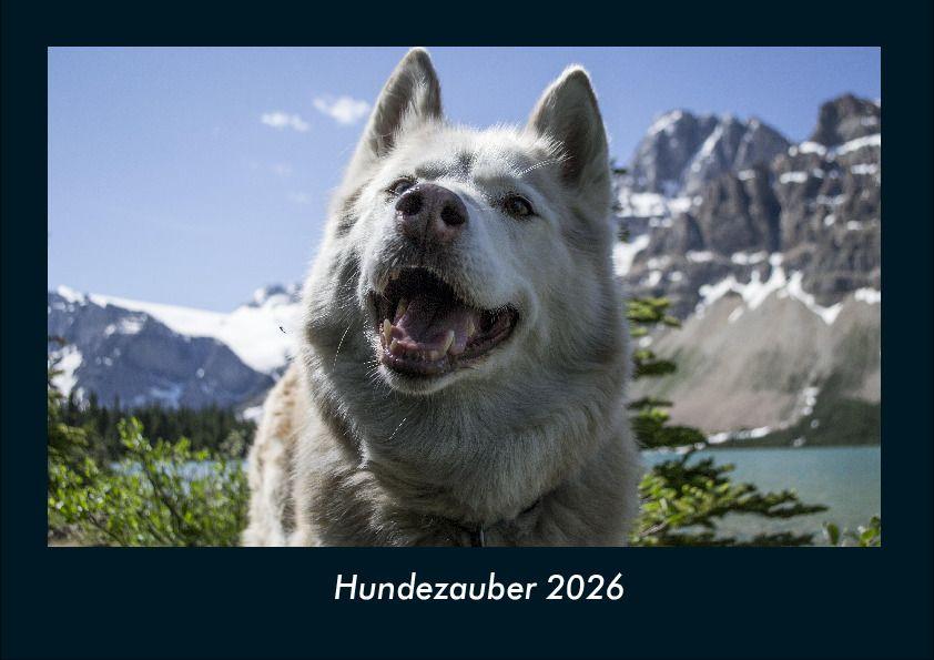 Hundezauber 2026 Fotokalender DIN A4
