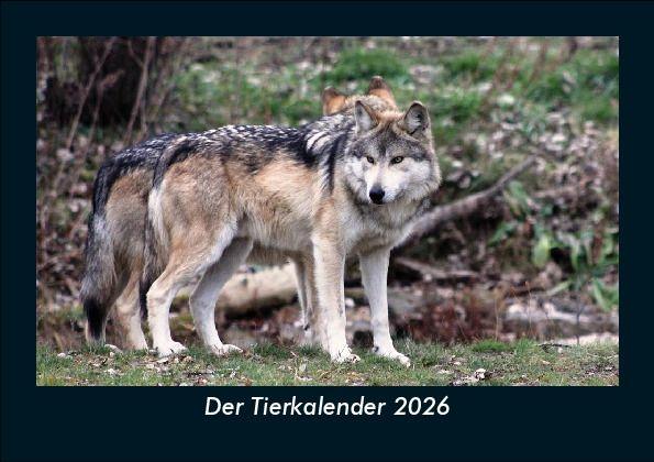 Der Tierkalender 2026 Fotokalender DIN A5