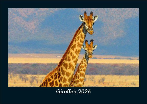 Giraffen 2026 Fotokalender DIN A5