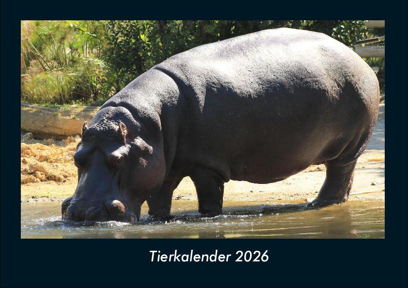 Tierkalender 2026 Fotokalender DIN A4