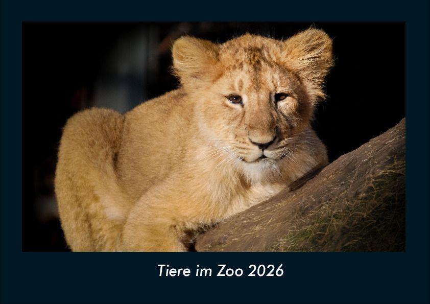 Tiere im Zoo 2026 Fotokalender DIN A4