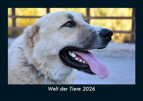 Welt der Tiere 2026 Fotokalender DIN A5