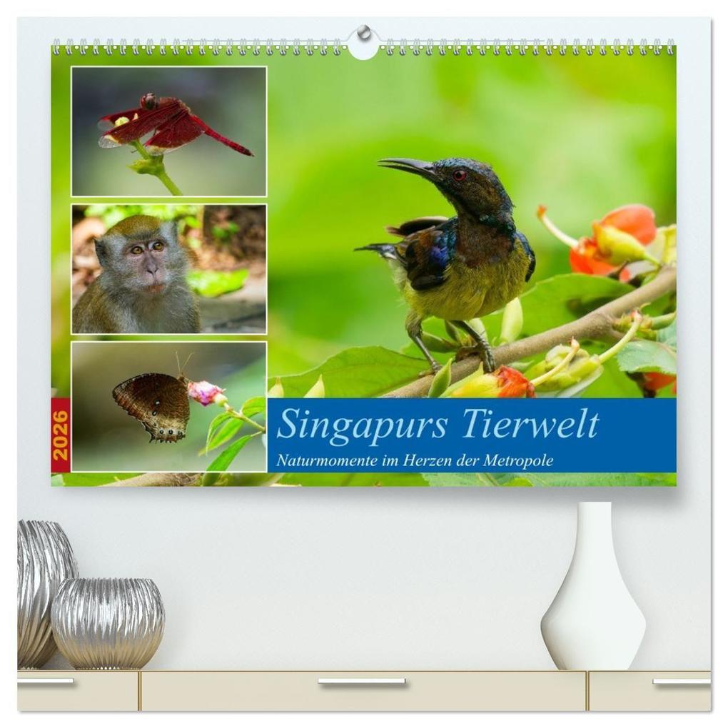 Singapurs Tierwelt (hochwertiger Premium Wandkalender 2026 DIN A2 quer) Kunstdruck in Hochglanz