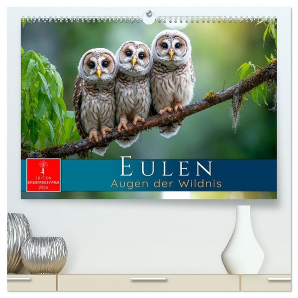 Eulen - Augen der Wildnis (hochwertiger Premium Wandkalender 2026 DIN A2 quer) Kunstdruck in Hochglanz