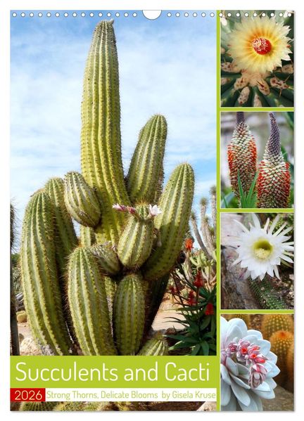 Succulents and Cacti - Strong Thorns Delicate Blooms (Wall Calendar 2026 DIN A3 portrait) CALVENDO 12 Month Wall Calendar