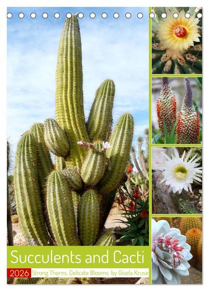 Succulents and Cacti - Strong Thorns Delicate Blooms (Desk Calendar 2026 DIN A5 portrait) CALVENDO 12 Month DeskCalendar