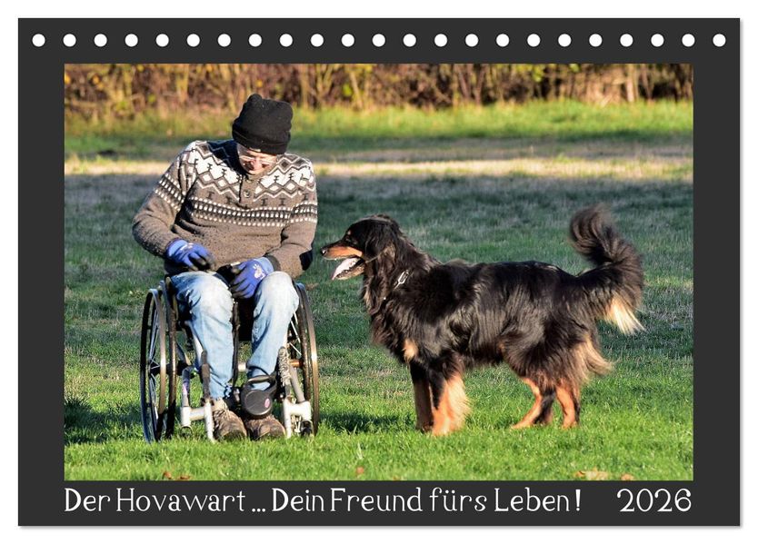 Der Hovawart... Dein Freund fürs Leben ! (Tischkalender 2026 DIN A5 quer) CALVENDO Monatskalender