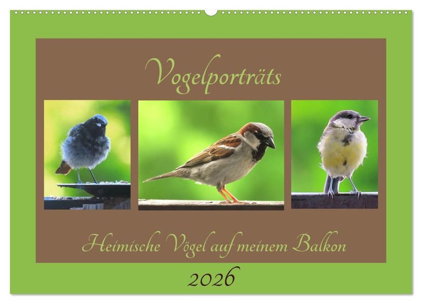 Vogelporträts - Heimische Vögel auf meinem Balkon (Wandkalender 2026 DIN A2 quer) CALVENDO Monatskalender