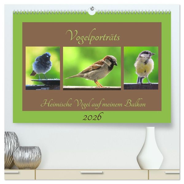 Vogelporträts - Heimische Vögel auf meinem Balkon (hochwertiger Premium Wandkalender 2026 DIN A2 quer) Kunstdruck in Hochglanz
