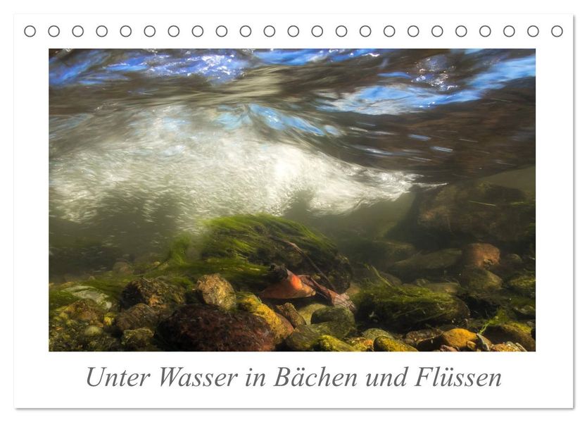 Unter Wasser in Bächen und Flüssen (Tischkalender 2026 DIN A5 quer) CALVENDO Monatskalender