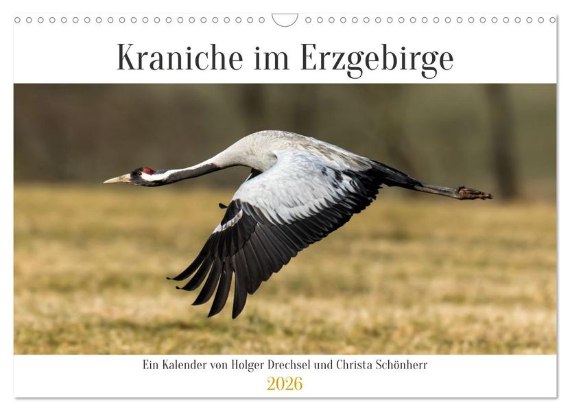 Kraniche im Erzgebirge (Wandkalender 2026 DIN A3 quer) CALVENDO Monatskalender
