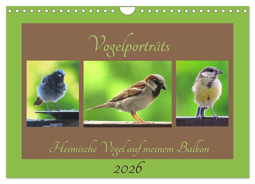 Vogelporträts - Heimische Vögel auf meinem Balkon (Wandkalender 2026 DIN A4 quer) CALVENDO Monatskalender