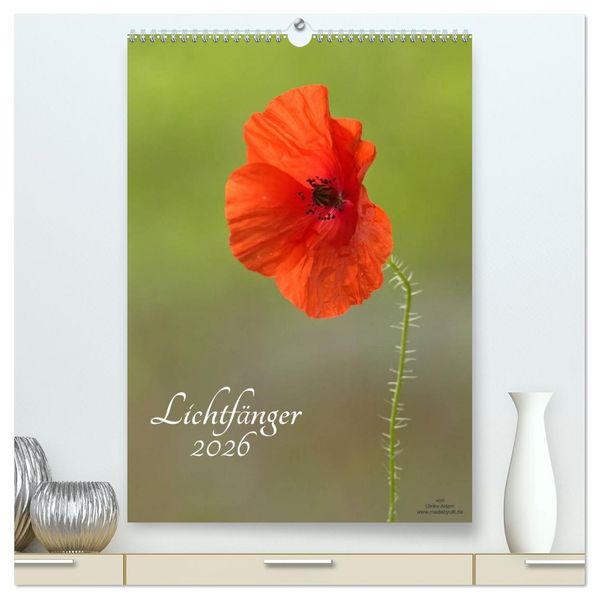 Lichtfänger (hochwertiger Premium Wandkalender 2026 DIN A2 hoch) Kunstdruck in Hochglanz