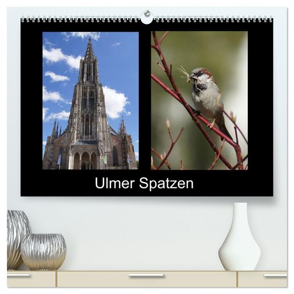 Ulmer Spatzen (hochwertiger Premium Wandkalender 2026 DIN A2 quer) Kunstdruck in Hochglanz