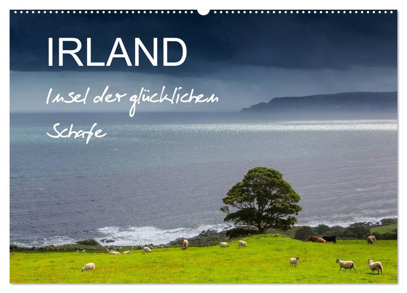 IRLAND - Insel der glücklichen Schafe (Wandkalender 2026 DIN A2 quer) CALVENDO Monatskalender