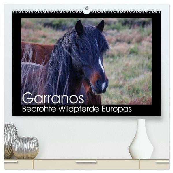 Garranos - Bedrohte Wildpferde Europas (hochwertiger Premium Wandkalender 2026 DIN A2 quer) Kunstdruck in Hochglanz