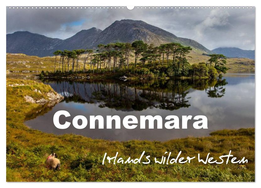 Connemara - Irlands wilder Westen (Wandkalender 2026 DIN A2 quer) CALVENDO Monatskalender