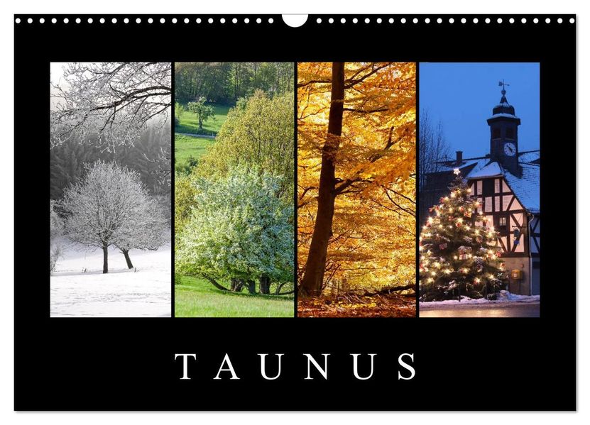 Taunus (Wandkalender 2026 DIN A3 quer) CALVENDO Monatskalender